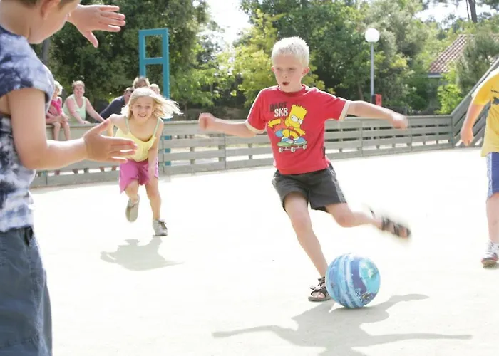 אתר קמפינג Officiel Siblu Le Bois Dormant 4*